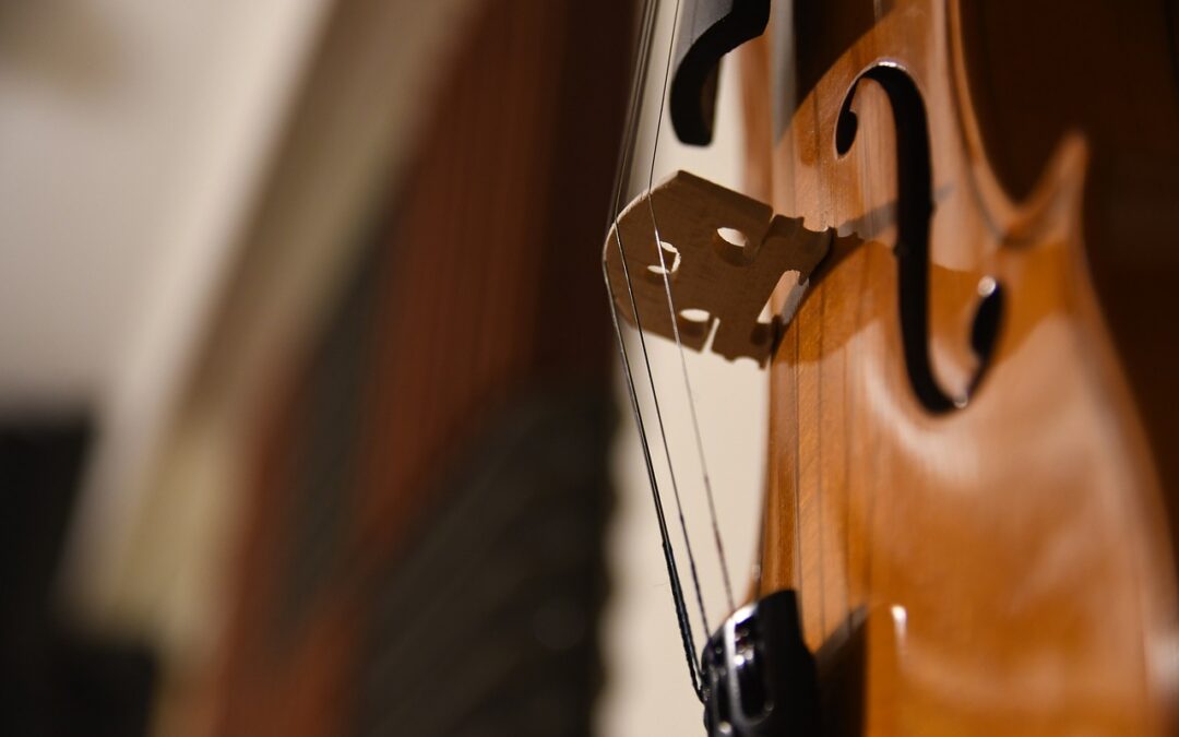 Streichinstrumente und GANZ in der Musik®